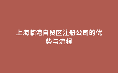 上海临港自贸区注册公司的优势与流程