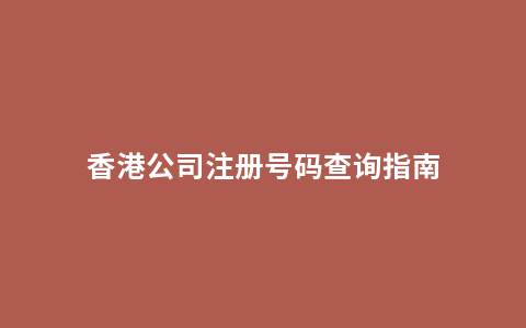 香港公司注册号码查询指南